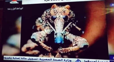 حقيقة صورة فيروس كورونا بعد تكبيره