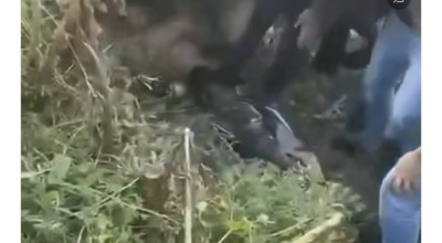 الفيديو من حادث سير وليس للحظة العثور على المستوطن المختفي