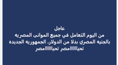 لم يصدر قرار بالتعامل داخل الموانئ المصرية بالجنيه بدل من الدولار