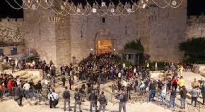 لا صحة لوجود وقفة تضامنية دعمًا لقرار الرئيس في باب العامود
