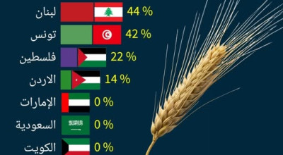 لا صحة لتصنيف أممي حول الاكتفاء الذاتي من الشعير في اليمن