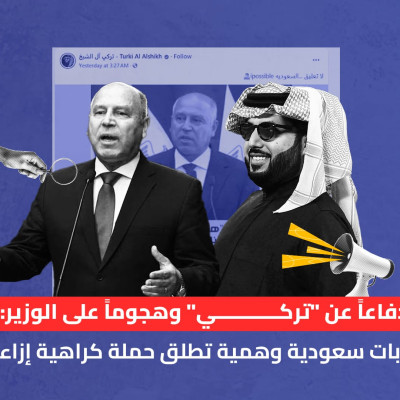دفاعاً عن "تركي" وهجوماً على الوزير: شبكة حسابات سعودية وهمية تطلق حملة كراهية إزاء المصريين
