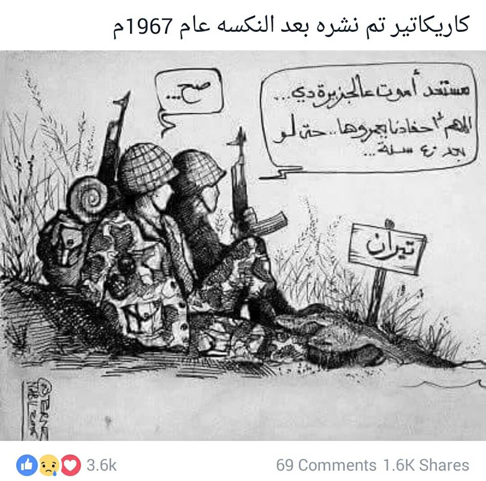 حقيقة كاريكاتير تم نشره بعد النكسة عام 1967