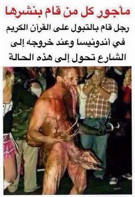 حقيقة صورة رجل قام بالتبول على القرآن