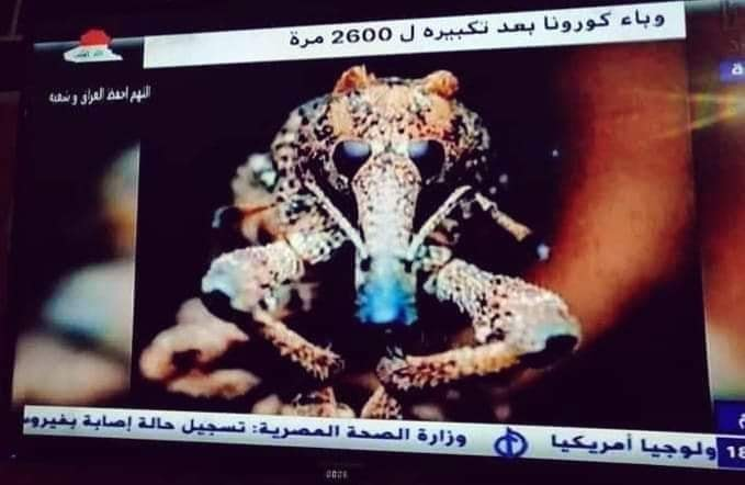 حقيقة صورة فيروس كورونا بعد تكبيره
