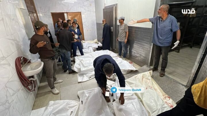 توثيقات وشهادات تنفي ادعاء جيش الاحتلال الإسرائيلي بعدم إطلاق النار على المدنيين في رفح