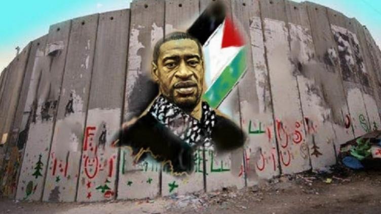 ما حقيقة هذه الصورة؟
