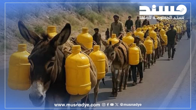 حقيقة صورة قافلة الحمير المتجهة لتعز؟ مولدة بالذكاء الأصطناعي