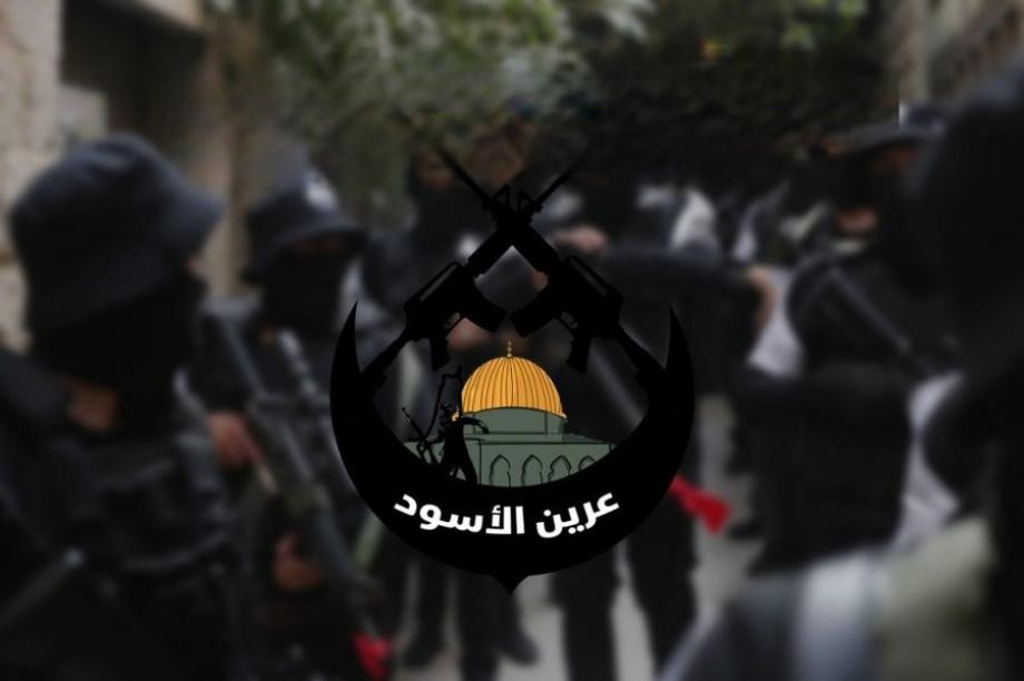 تيقّن توضح حقيقة التصريح المتداول المنسوب لمجموعة عرين الأسود